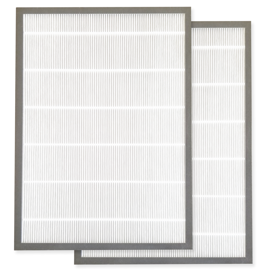 Pure Air Today Replacement Pure HEPA filter - 2 Pack